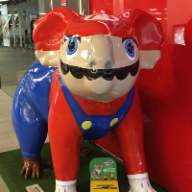User profile picture